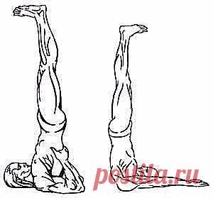 (88) Одноклассники