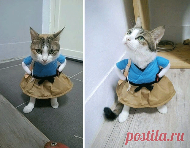 Веселые фотографии для хорошего настроения!