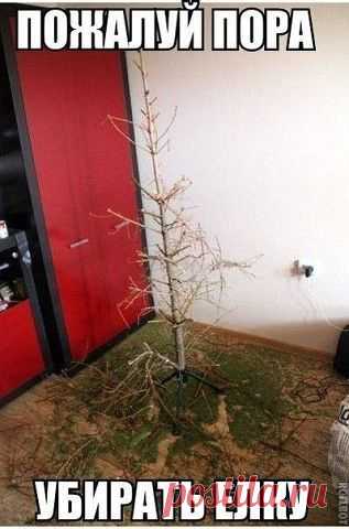 Мой Мир@Mail.Ru