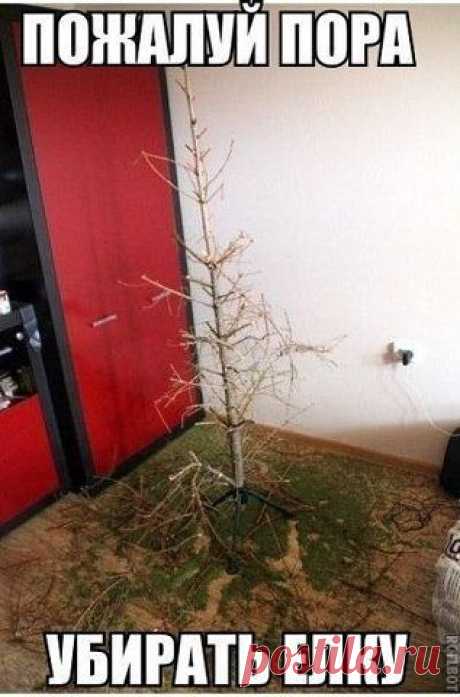 Мой Мир@Mail.Ru