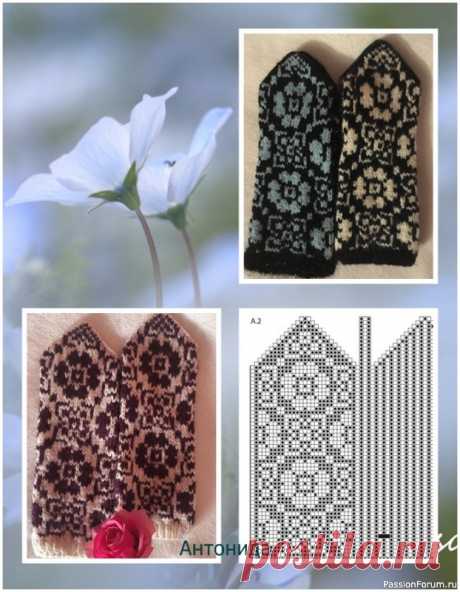 Варежки "Доброе утро" спицами. Схема. | Вязание спицами аксессуаров