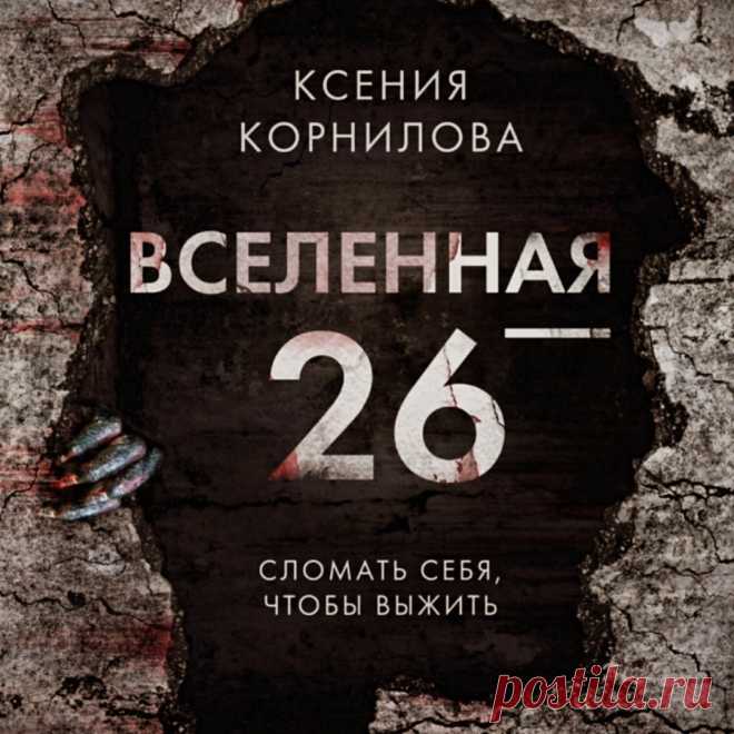 Ну что - скажу сразу, что это было быстро, интересно и легко, что не свойственно для книг автора. 

Я иногда пишу о простительности по отношению к читателю, если во время чтения книги он не увидел ни одной глубокой мысли, которую автор хотел донести до публики. Почему спросите вы?! – потому что ты в полном погружении, ты увлекаешься и проживаешь эту историю «от и до» вместе с главными героями, поэтому какие, простите, цитаты. Хотя иногда мне хотелось просто поставить на паузу сюжет.