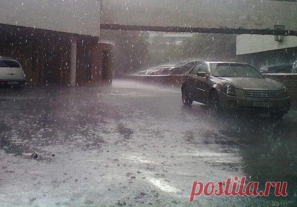 Для вас, наши участники, небольшая дождевая фото подборка / Социальная погода