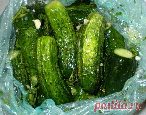 Рецепт малосольных огурцов в целлофановом пакете

Потребуется:

огурцы свежие (небольшие) - 1 кг; 
чеснок - 3 зубчика; 
укроп свежий - 0,5 пучка; 
соль крупная - 2 ч. л. (без горки); 
сахар - 0,5 ч. л.; 
перец черный горошком - 5-6 шт. 

Огурчики хорошо вымыть, обрезать кончики.

Выложить огурцы в сложенные один в один два целлофановых пакета. Добавить к ним очищенный и нарезанный чеснок, измельченный укроп.

Сюда же добавить соль, сахар и перец горошком.

Пакеты плотно за...