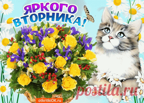 Красивые бесплатные картинки со Вторником | Открытки бесплатно