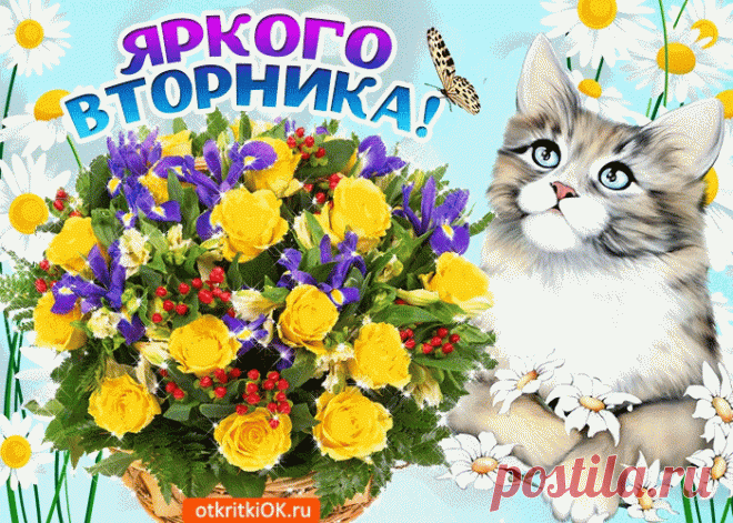 Красивые бесплатные картинки со Вторником | Открытки бесплатно