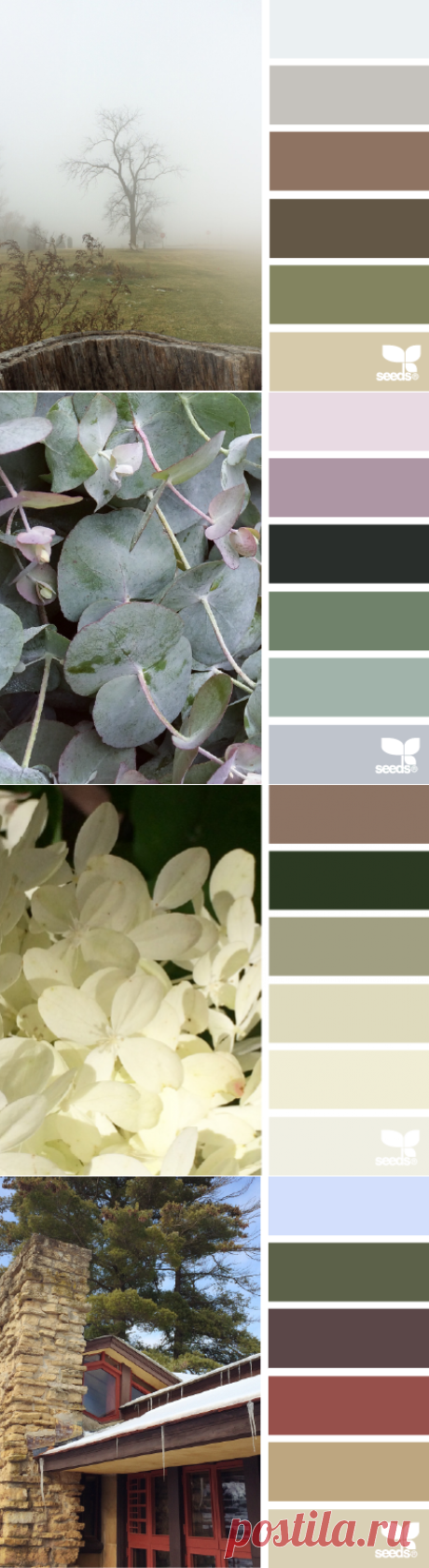 design seeds | for all who ♥ color