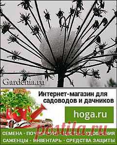 Всё о цветах и саде просто и познавательно