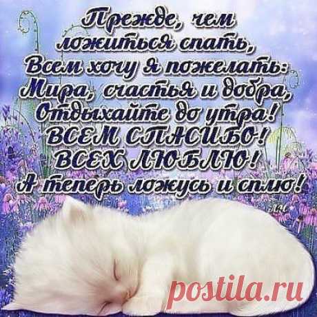 (4) Одноклассники