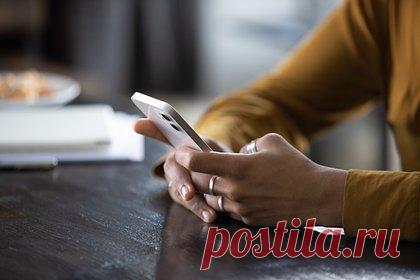 Бдительность россиянки помогла раскрыть мошенническую сущность ухажера из США