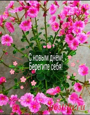 Красивая открытка с добрым зимним утром
Варианты оформления

Основные элементы дизайна:

    Зимние пейзажи

    Снежинки и узоры

    Тёплые тона

    Новогодние атрибуты

    Чашки горячего кофе/чая

    Пушистые сугробы

    Зимнее солнце