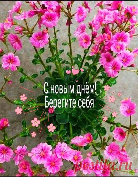 Красивая открытка с добрым зимним утром
Варианты оформления

Основные элементы дизайна:

    Зимние пейзажи

    Снежинки и узоры

    Тёплые тона

    Новогодние атрибуты

    Чашки горячего кофе/чая

    Пушистые сугробы

    Зимнее солнце