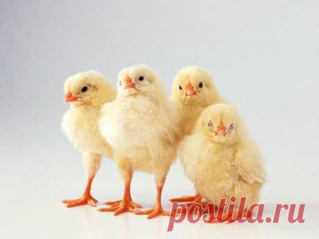 03-02-2012-17-00_WestWallpapers_33.jpg (Изображение JPEG, 1024 × 768 пикселов) - Масштабированное (60%)