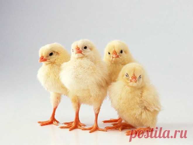 03-02-2012-17-00_WestWallpapers_33.jpg (Изображение JPEG, 1024 × 768 пикселов) - Масштабированное (60%)