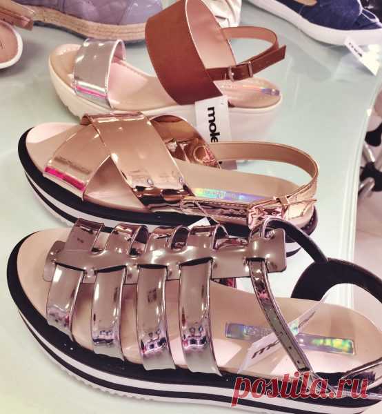Paixão por sapatos! Novidade nas vitrines! – Beleza Interativa | Blog de Cabelo, Moda e Dicas Femininas