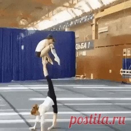 Одноклассники