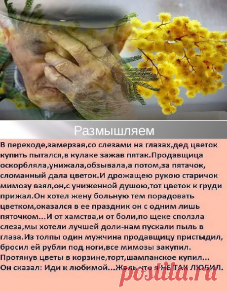 Прекрасный стих, который возьмет за душу любого. Размышляем — мы должны оставаться людьми | Блоггерство на пенсии | Яндекс Дзен