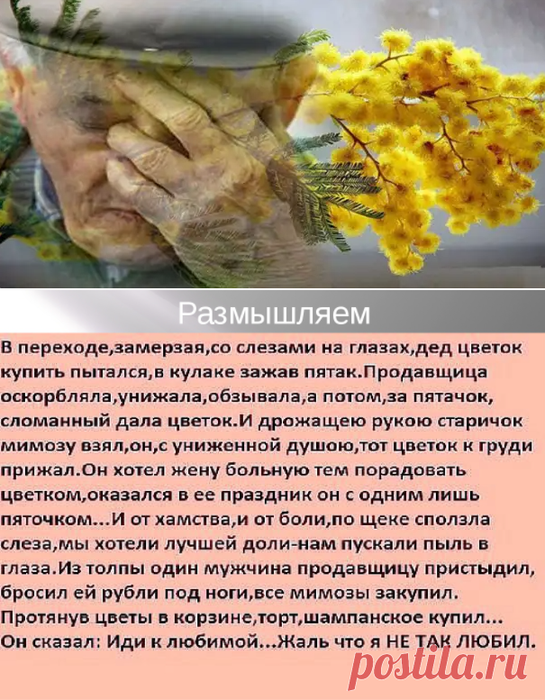 Прекрасный стих, который возьмет за душу любого. Размышляем — мы должны оставаться людьми | Блоггерство на пенсии | Яндекс Дзен