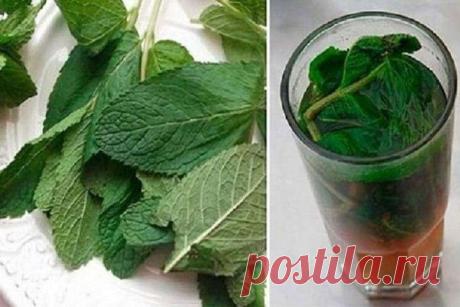 Удивительный народный рецепт - эффективный напиток для очищения печени Вкусно и очень полезно!