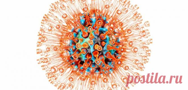 Герпесвирусы: триггеры, симптомы, лечение
60 – 90% населения в разные периоды жизни инфицируются одним или несколькими типами герпетических вирусов, а у 50% из их числа отмечаются рецидивы болезни. Герпесвирусы представляют собой очень важную группу вирусов с двухцепочечной ДНК, которые реплицируются внутри ядер своих клеток-хозяев, вызывая множество серьезных заболеваний. У подавляющего...
Читай дальше на сайте. Жми подробнее ➡