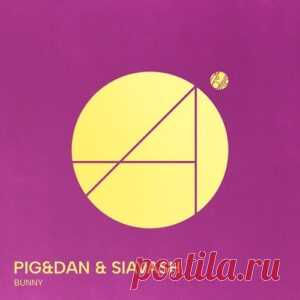 Pig&Dan & Siavash - Bunny [mobilee299e] - HypeDJ.top