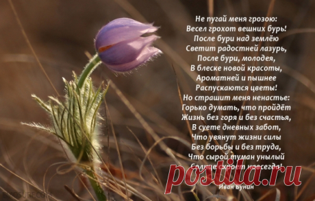 Красивые стихи о весне