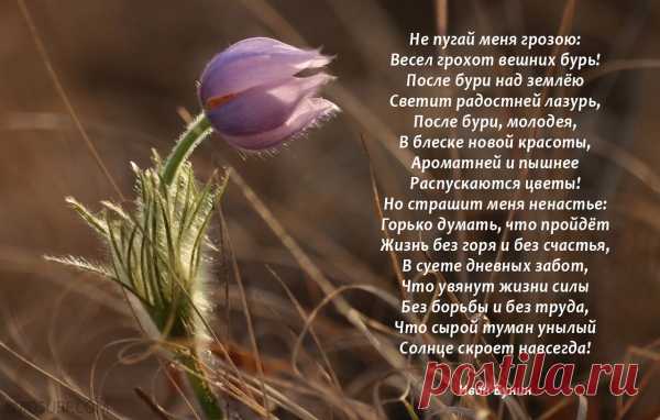 Красивые стихи о весне