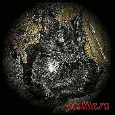 easycross.ru :: Схема вышивки крестом "Котик"