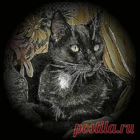 easycross.ru :: Схема вышивки крестом &quot;Котик&quot;