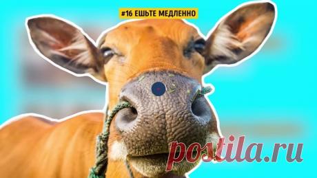 19 Хитростей, Которые Изменят Вашу Жизнь