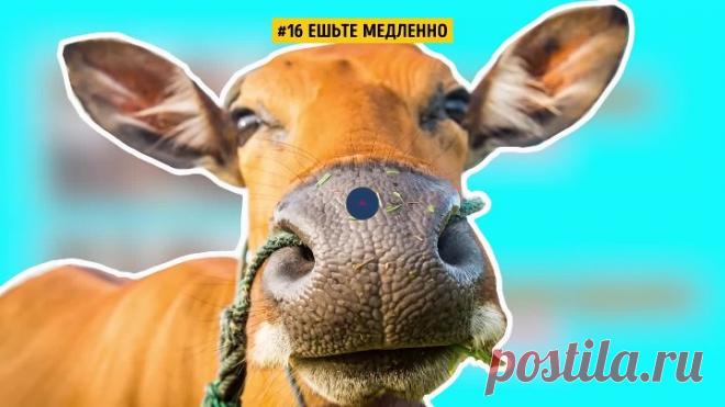 19 Хитростей, Которые Изменят Вашу Жизнь