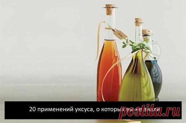 Елена Белан