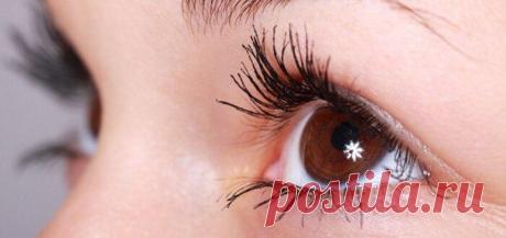 Наращивание ресниц: все, что нужно знать
Удлинение ресниц  являются инновационными технологиями, которые улучшают внешний вид и также используются с лечебной целью. Техника, которая прощается с накладными ресницами и добро пожаловать на естественный, здоровый уход со многими преимуществами - не только эстетическими. Давайте вместе выясним, кому они показаны, какие на данный момент техники для...
Читай пост далее на сайте. Жми ⏫ссылку выше
