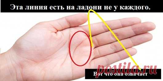 А у вас есть такая линия?