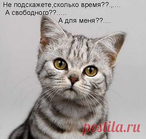 Немножко   Взгрустнулость!!!!