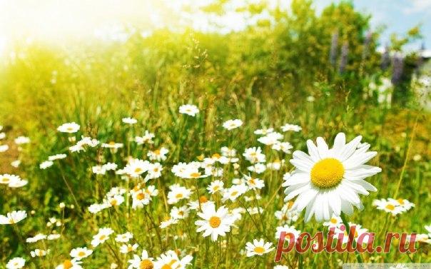 (20) Мой Мир@Mail.Ru