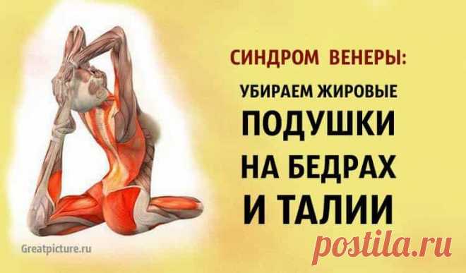 Синдром Венеры: убираем жировые подушки на бедрах и талии 



Синдром Венеры: убираем жировые подушки на бедрах и талии. Синдром Венеры — таким термином обозначается образование жировых подушек, снижение упругости мышц на бедрах и талии. Этот недостаток фигу…