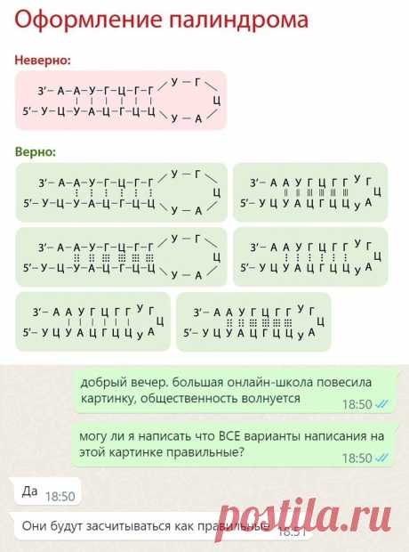 UwYsmtafC7o.jpg (715×964)