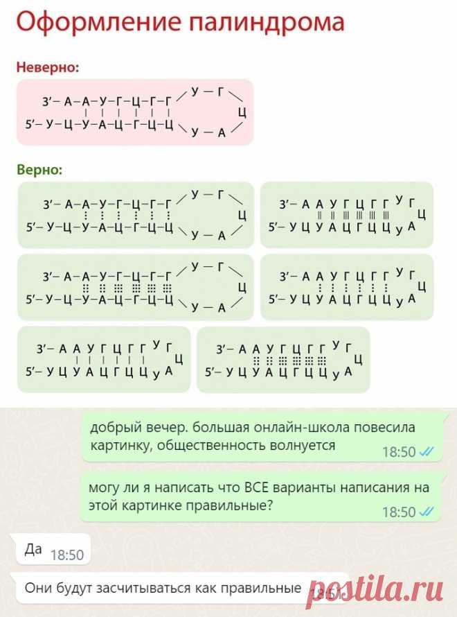 UwYsmtafC7o.jpg (715×964)