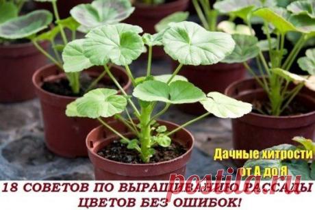 (63) Одноклассники