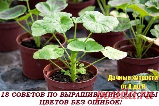 (63) Одноклассники