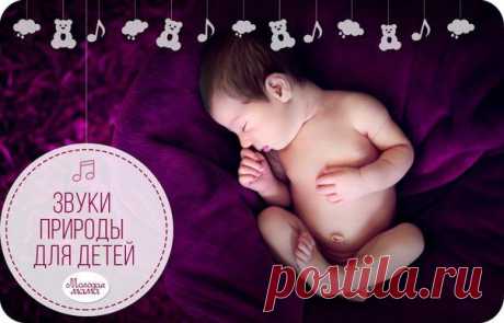 Звуки природы