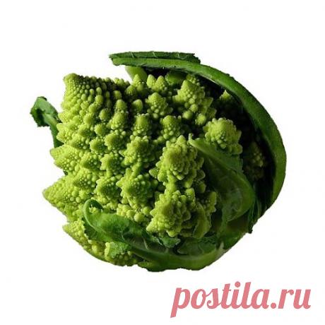 Капуста романеско. Свойства капусты романеско