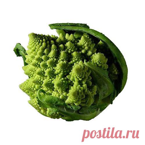 Капуста романеско. Свойства капусты романеско
