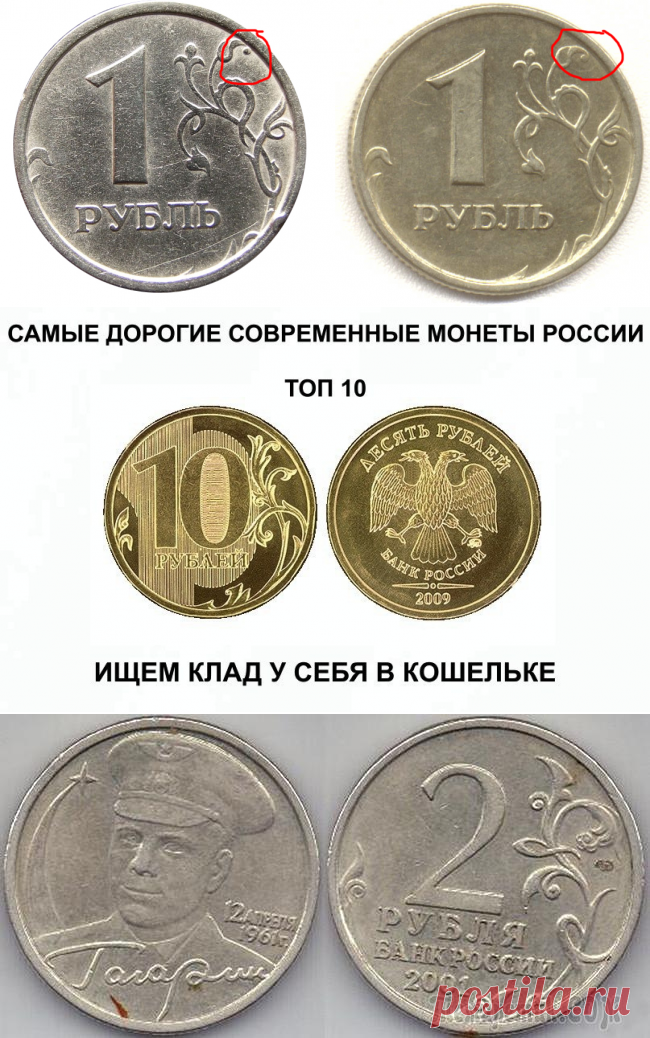 Ищите клад у себя дома! Самые дорогие монеты СССР и России с 1924 по 2014 гг. Стоимость сегодня