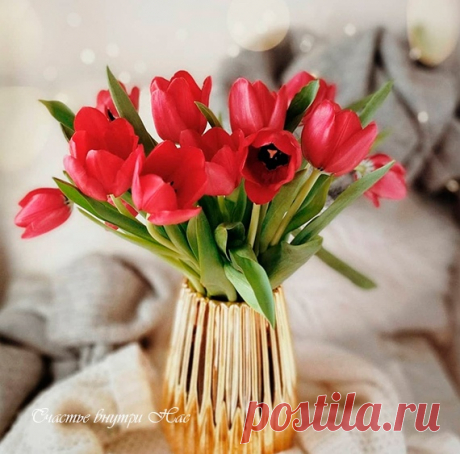 Выбирайте сегодня только яркие краски!
Счастья и добра!..