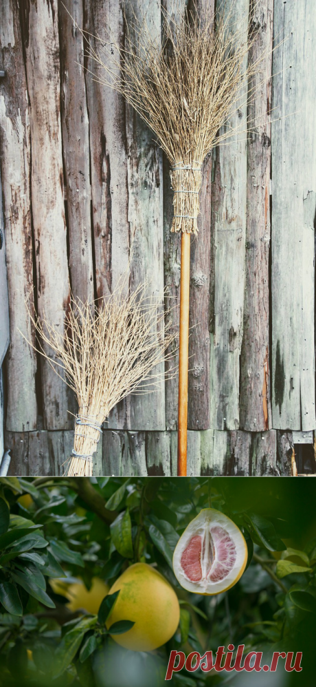 Полетать на помеле или съесть его - помело, фрукты, цитрусовые