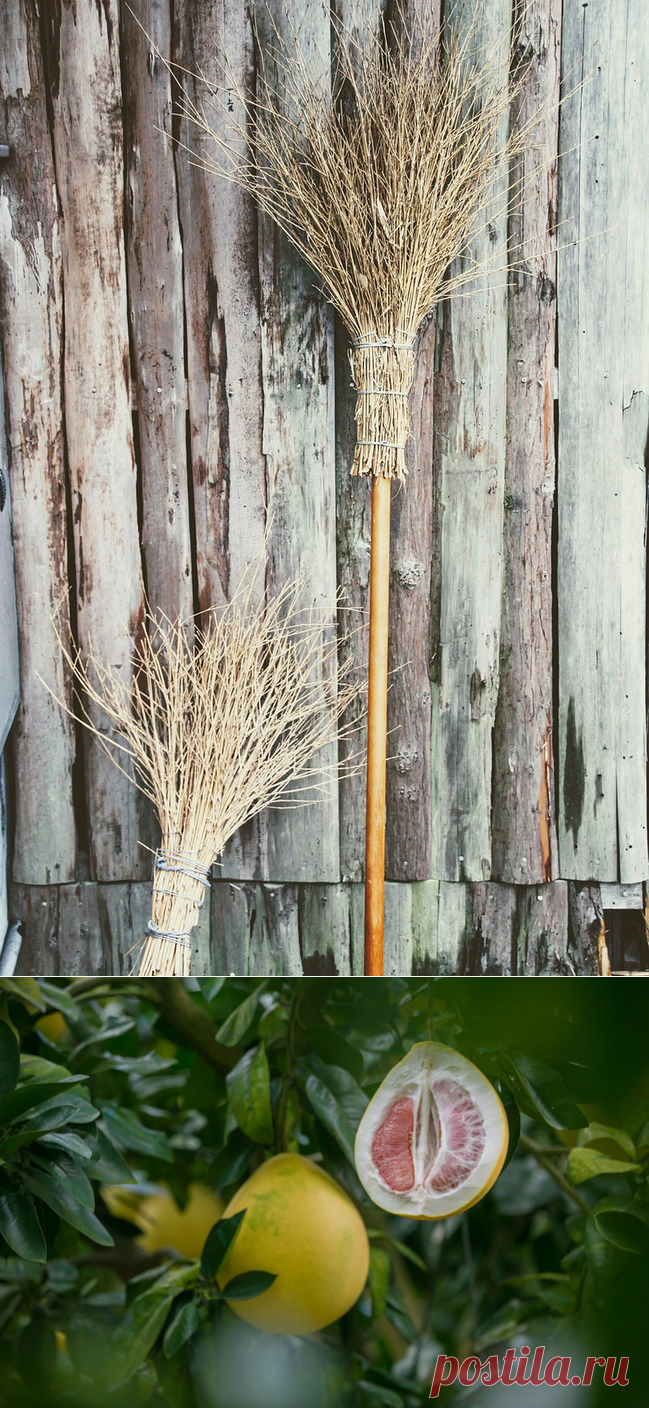 Полетать на помеле или съесть его - помело, фрукты, цитрусовые