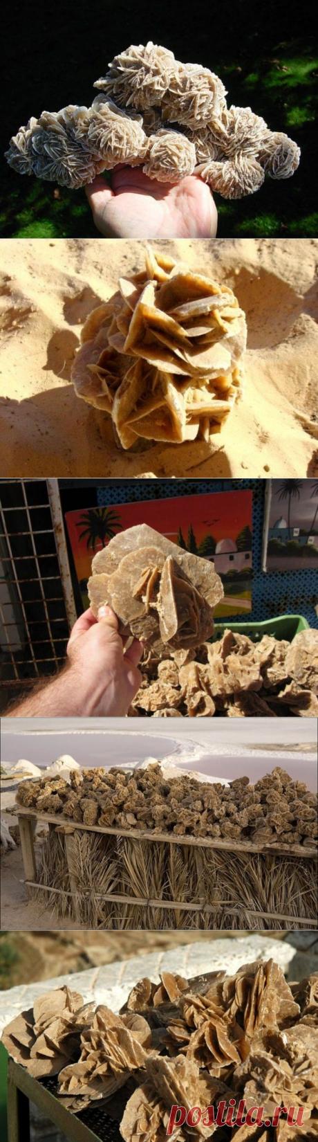 Удивительной красоты минерал «роза пустыни» — Наука и жизнь