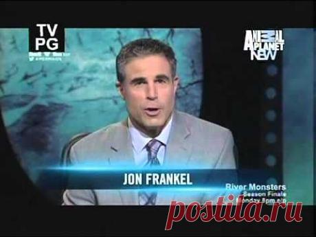 Mermaids: The New Evidence full episode (not available in the U.S.) - YouTube